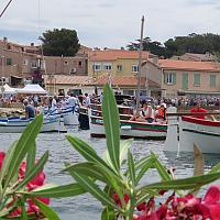 Fête des Pointus du Brusc le 4 juillet