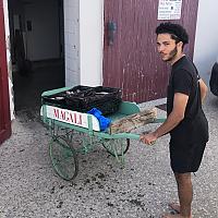 Préparation des poissons pour la bouillabaisse 